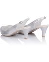 Shuttles C810P silver wide